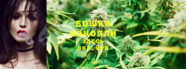 мяу мяу мука Волоколамск